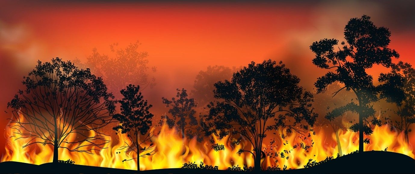 AI Fire Detection: Catching Real Fire Events Before Disaster Strikes