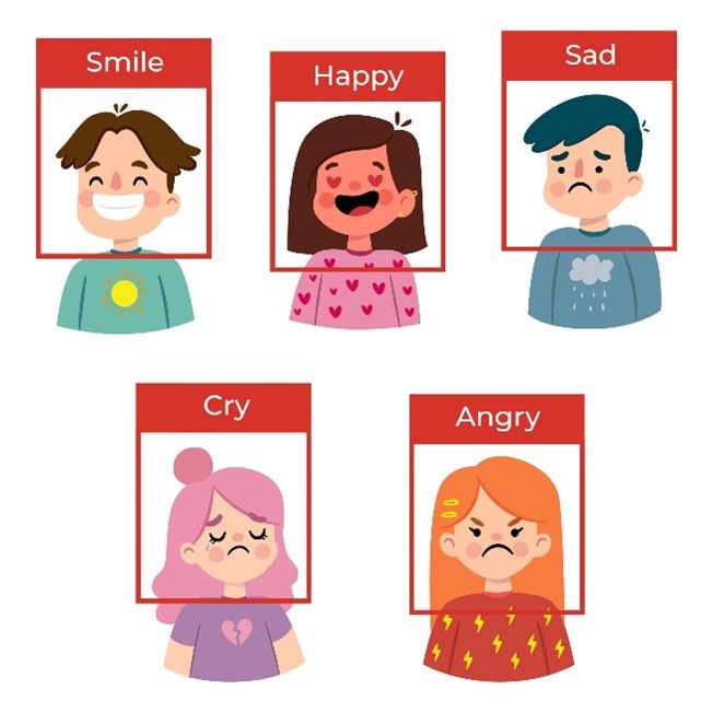 Real-Time AI Emotion Recognition and Detection to Understand Human Interaction